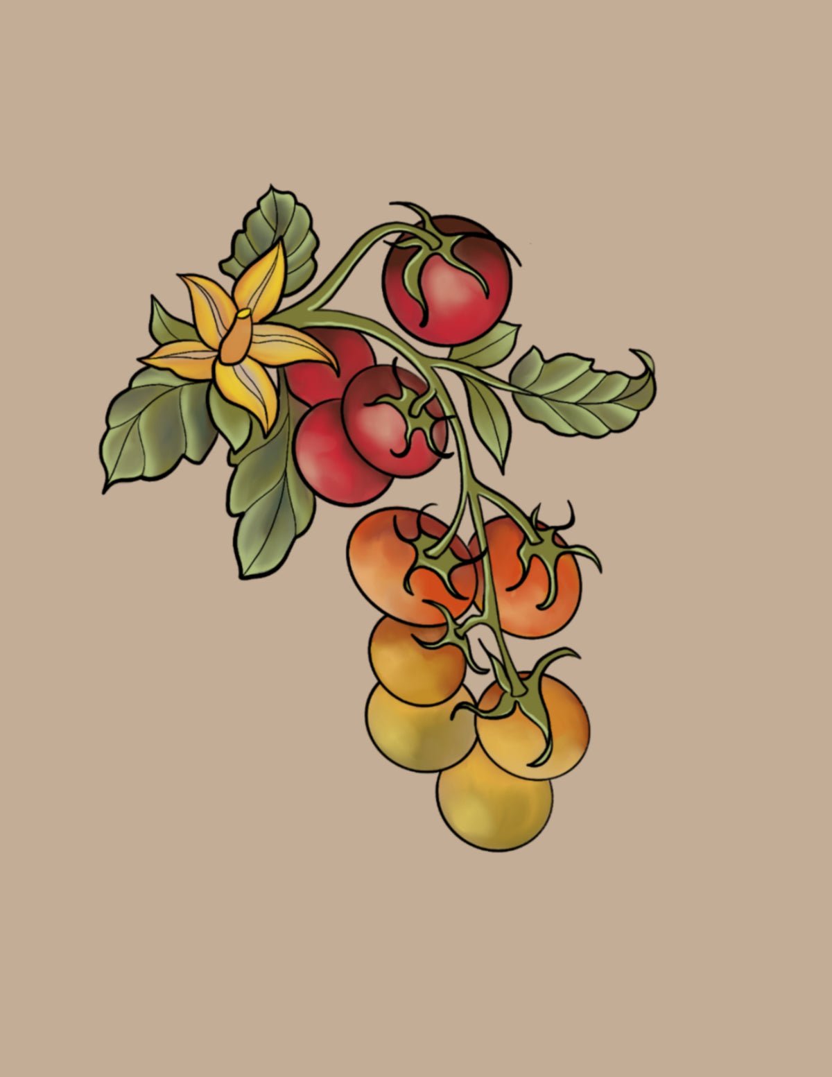 Cherry Tomatoes