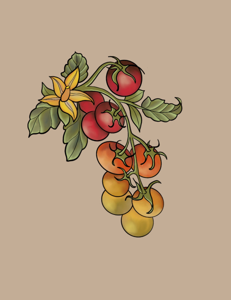 Cherry Tomatoes