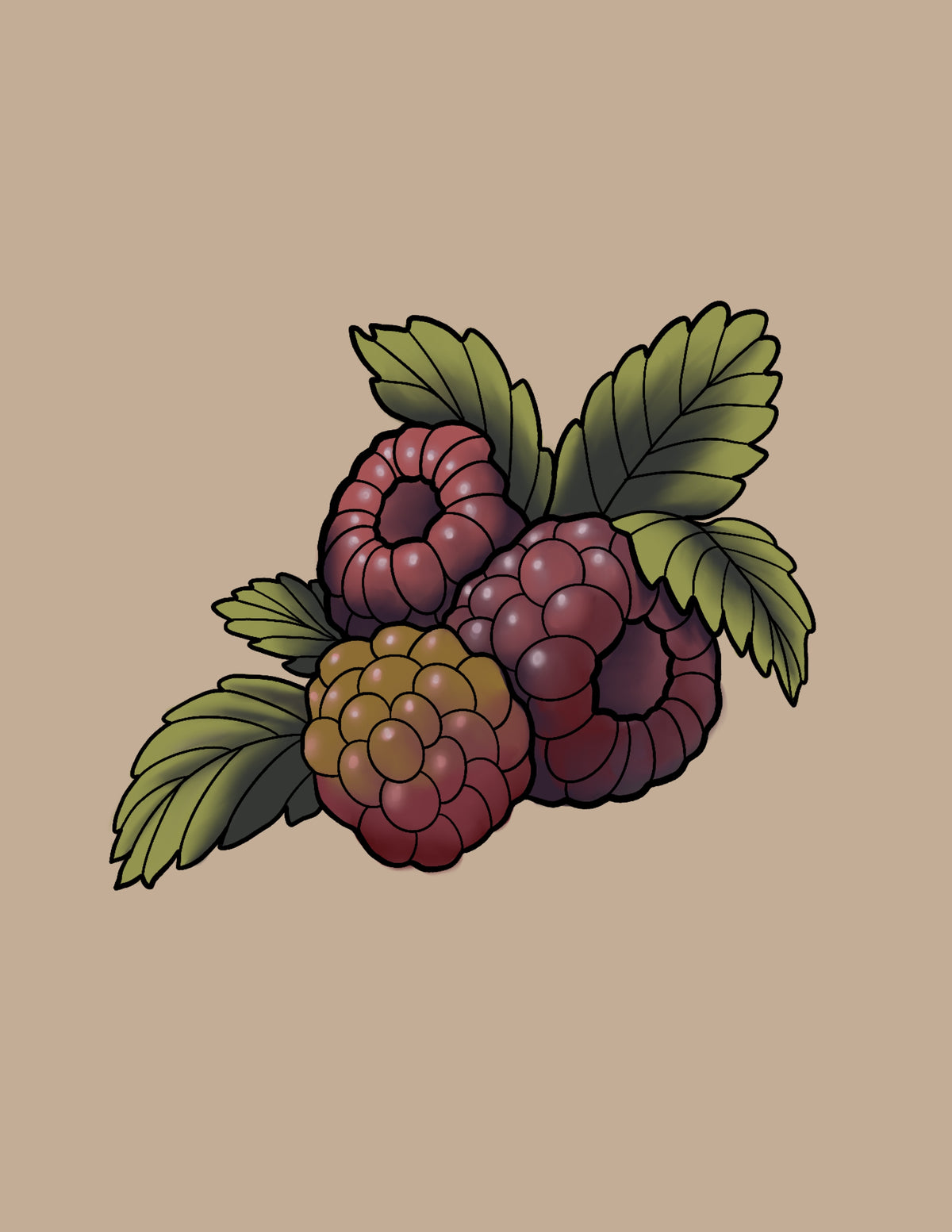 Raspberries